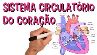 ✅ SISTEMA CARDIOVASCULAR  SISTEMA CIRCULATÓRIO DO CORAÇÃO [upl. by Vandervelde587]