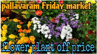 pallavaram Friday market flowers shop [upl. by Atteiram]