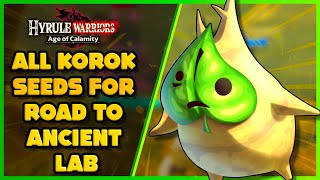 ALL KOROK SEEDS for Road to the Ancient Lab Hyrule Warriors Age Of Calamity [upl. by Schulein203]