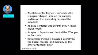 Retromolar Trigone [upl. by Moody]