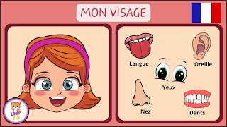 LES PARTIES DU VISAGE  Vocabulaire pour enfants en Français [upl. by Nida455]