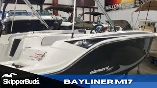 2022 Bayliner M17 Element Sport Boat Tour SkipperBuds [upl. by Idisahc143]