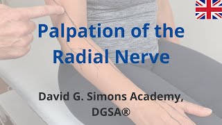 The Palpation of the Radial Nerve [upl. by Rashida]