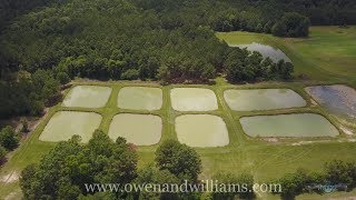 Owen and Williams Fish Farm [upl. by Marguerita]