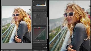 Nobe OmniScope  Scopes for Lightroom  BETA [upl. by Acissehc]