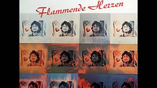 Michael Rother  Flammende Herzen 1976 Full Album [upl. by Eednac]