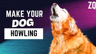 DOGS HOWLING to make your Dog Howl  Dogs HOWLING Sound Effect HD 100 GUARANTEED [upl. by Hras]