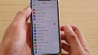 How to Check Your iPhone 11 Pros Storage Capacity  iOS 13 [upl. by Botzow]