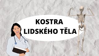 KOSTRA LIDSKÉHO TĚLA  Aneb kolik kostí vlastně máme [upl. by Yadrahc]