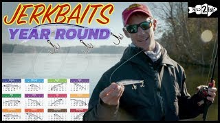 5 Jerkbait Fishing Tips for YearRound Success [upl. by Kenley]