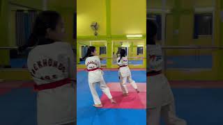 Poomsae 3  3th part poomsae taekwondo [upl. by Zzahc]