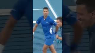 Novak Djokovic playing cricket shortsfeed shortvideo youtube [upl. by Anne65]