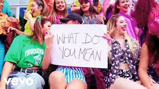 Justin Bieber  What Do You Mean PURPOSE  The Movement Official Music Video [upl. by Suravaj994]