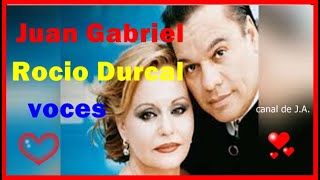 Juan Gabriel Rocio Durcal Voces [upl. by Anivahs]