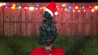 Fred Schneider amp the Superions  Crummy Christmas Tree Official Music Video [upl. by Yregerg408]