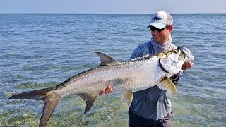 Fly Fishing Jardines de la Reina Cuba February 2019 [upl. by Macy]