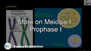 Meiosis Prophase I Biology Lecture  Sabaqpk [upl. by Ybor830]