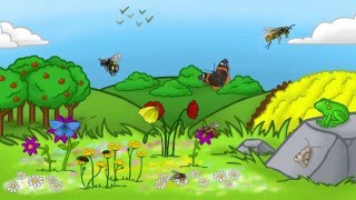 Plant A Pot For Pollinators  Butterfly Conservation [upl. by Iffar]