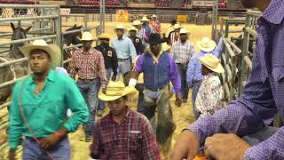 2017 Bill Pickett Invitational Rodeo Grand Entry [upl. by Gettings835]