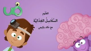 السلاسل الغذائية في الأحياء والعلوم من عالم ضاد [upl. by Iem486]