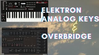 ELEKTRONANALOGKEYS and OVERBRIDGE [upl. by Kramal]