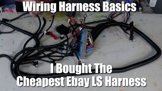 I Bought The CHEAPEST LS Wiring Harness  LS Wiring Harness  ECU 101 [upl. by Ryle358]