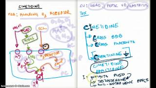 Cimetidine Made Simple [upl. by Enyak]