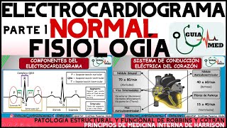 ELECTROCARDIOGRAMA NORMAL GUYTON  GuiaMed [upl. by Balac]