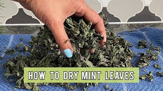 How To Dry Mint Leaves  Simplest Way To Dry Mint [upl. by Carroll]