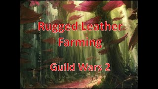 Guild Wars 2 Rugged Leather Farming  Jsons World [upl. by Grunenwald310]