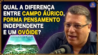 Qual a DIFERENÇA entre CAMPO ÁURICO forma pensamento independente e um OVÓIDE  cortes podcast [upl. by Fan]