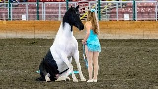 Liberty and Free Riding Performance at the Evergreen State Fair [upl. by Rimaj900]