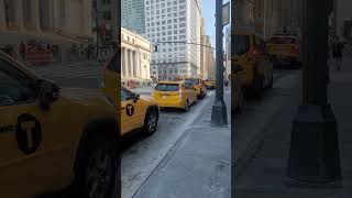 Yellow Taxis in New York viralvideo travel newyork viralvideo [upl. by Gough]