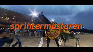 Halmstadtravet Sprintermästaren  Promo [upl. by Alberta385]