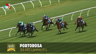 Lot 516  Portorosa  Magic Millions National Broodmare Sale [upl. by Alvita]