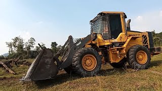 VOLVO L60 F FAZENDO LIMPEZA DE PASTO [upl. by Nuawad]