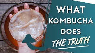 The Truth On What Kombucha Does To Your Body DOCTOR RESPONDS [upl. by Lewls324]