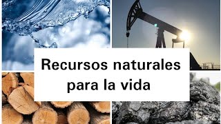 Recursos naturales para la vida  Geografía [upl. by Felic777]