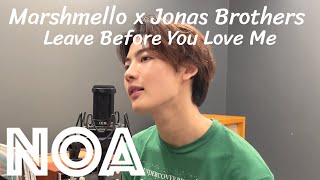 Marshmello x Jonas Brothers  Leave Before You Love Me NOA COVER [upl. by Emmye]