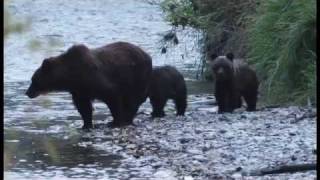 Tweedsmuir Park Lodge Bella Coola BC Canada [upl. by Stultz]