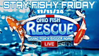 Stay Fishy Friday livestream 111524 [upl. by Eelanaj673]