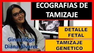 ECOGRAFIA DE TAMIZAJE GENETICO Y DETALLE FETAL POR GINECOLOGA DIANA ALVAREZ [upl. by Donall591]