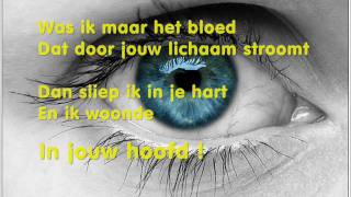 Stef Bos  Ik heb je lief Lyrics on screen [upl. by Edmonda]