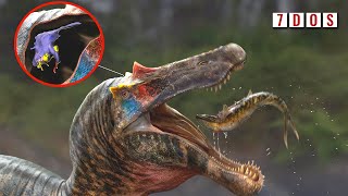 Spinosaur Brains Reconstructed By New Study  7 Days of Science [upl. by Syah]