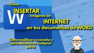 Insertar íconos y imágenes personalizadas en WORD  15 [upl. by Aihsenet]