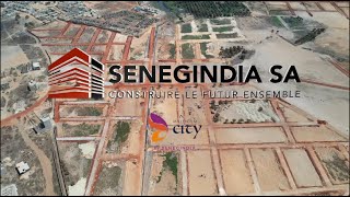 SENEGINDIA MILLENIUM CITY [upl. by Salman]