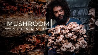 Cultivating Gourmet and Medicinal Mushrooms  PARAGRAPHIC [upl. by Esyned653]