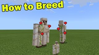 How to BREED Iron Golems in Minecraft PE Small Golem Addon [upl. by Hayila]