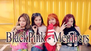 BLACK PINK Members Profile 2017  BlackPink Introduction [upl. by Magdalena]