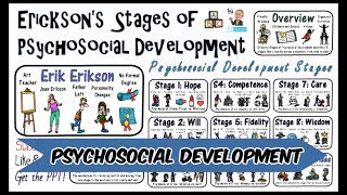 Erik Erikson Stages of Psychosocial Development Theory [upl. by Urbano471]